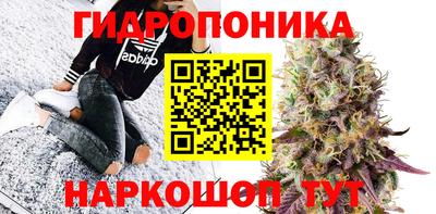 крисы Кунгур
