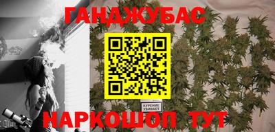 крисы Кунгур