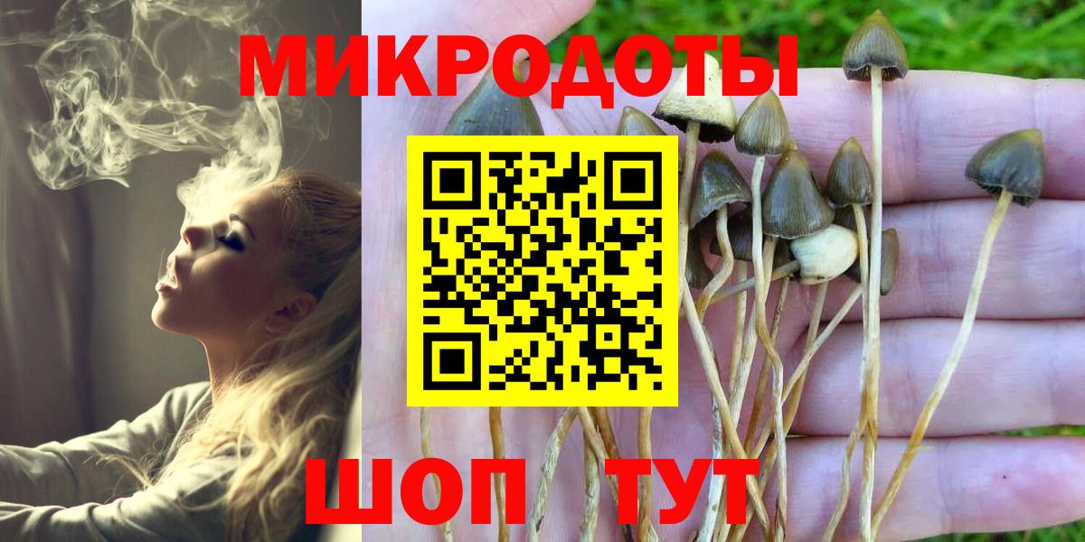 купить наркоту  Галлюциногенные грибы Cubensis  Вход с VPN  Всеволожск 